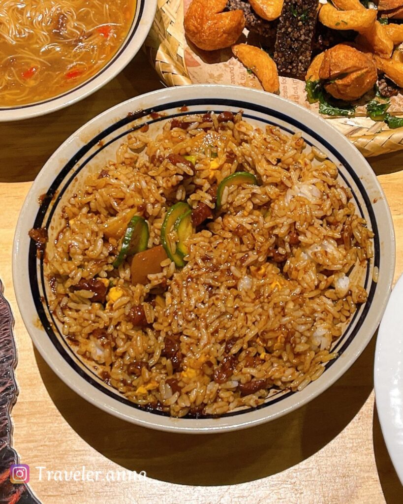 四川成都-找醉獸-traveleranna-黑金滷肉飯